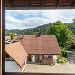 Gaestehaus Hanni Penzion Todtmoos