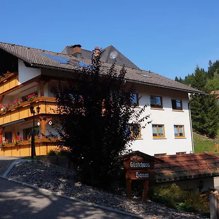 Gaestehaus Hanni Todtmoos