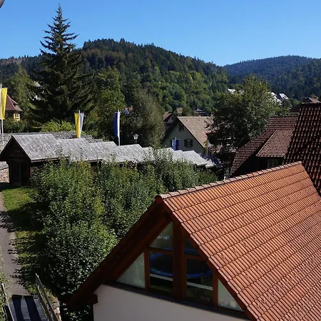 Gaestehaus Hanni Guest house