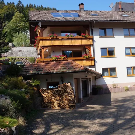 Gaestehaus Hanni Guest house *