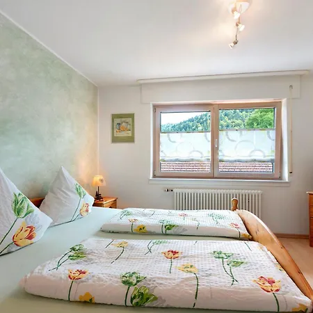 Guest house Gaestehaus Hanni 3*