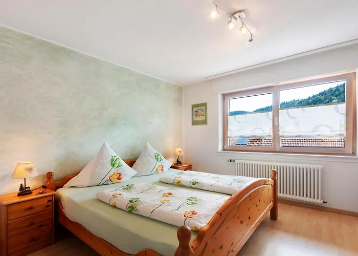 Gaestehaus Hanni 招待所 3*