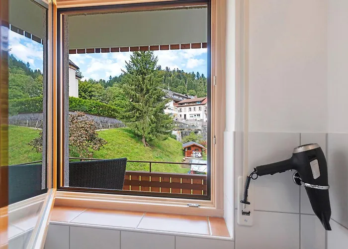 Gaestehaus Hanni 招待所 托特莫斯