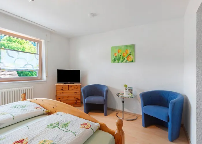 招待所 Gaestehaus Hanni 托特莫斯