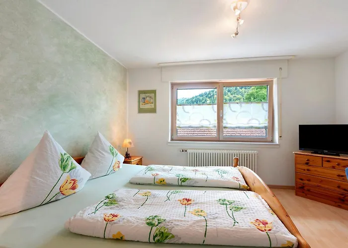 招待所 Gaestehaus Hanni 3*