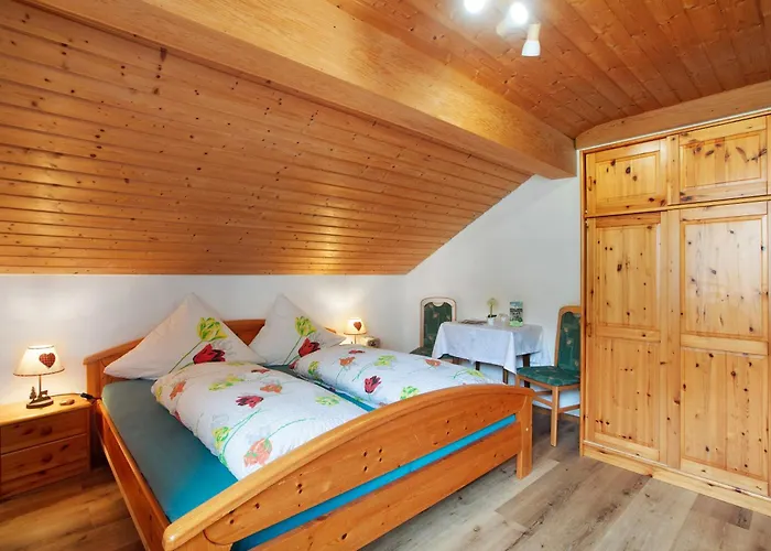 招待所 Gaestehaus Hanni 托特莫斯